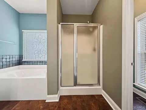 Bath - 12722 Alpine Cir, Lake View, AL 35111 photo 3 of 4