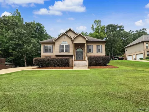 Exterior - 12722 Alpine Cir, Lake View, AL 35111 photo 12 of 13