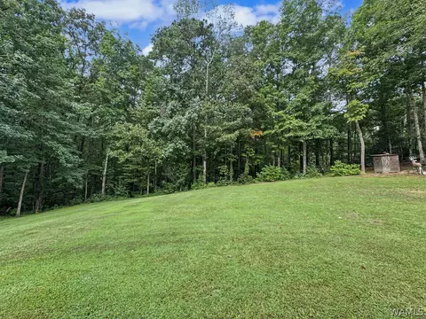 Exterior - 12722 Alpine Cir, Lake View, AL 35111 photo 10 of 13