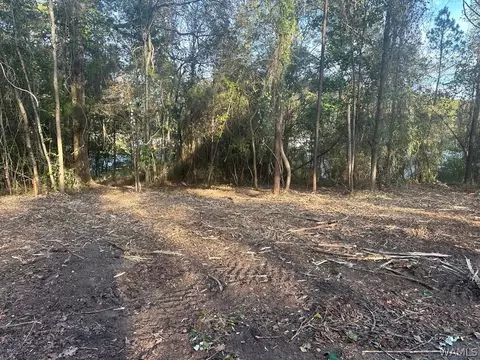 lot65 Blue Pine Cir, Brookwood, AL 35444