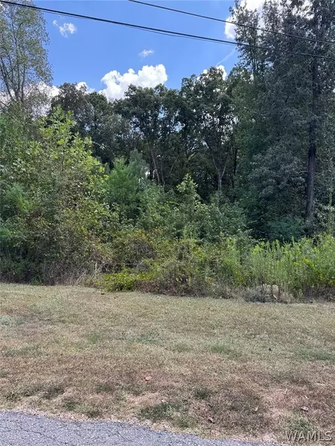 2107 Fountain Way, Northport, AL 35473