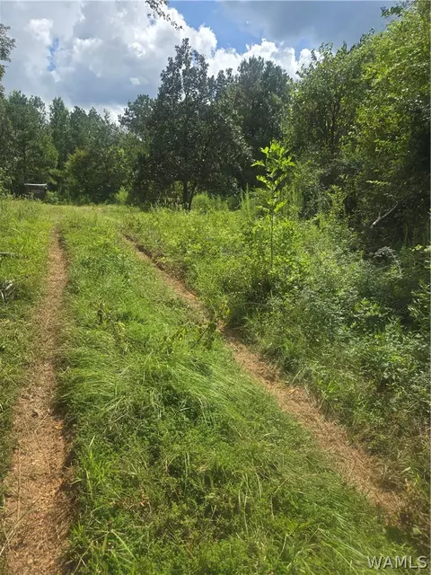 512 Chestnut Ave, Other, AL 36763