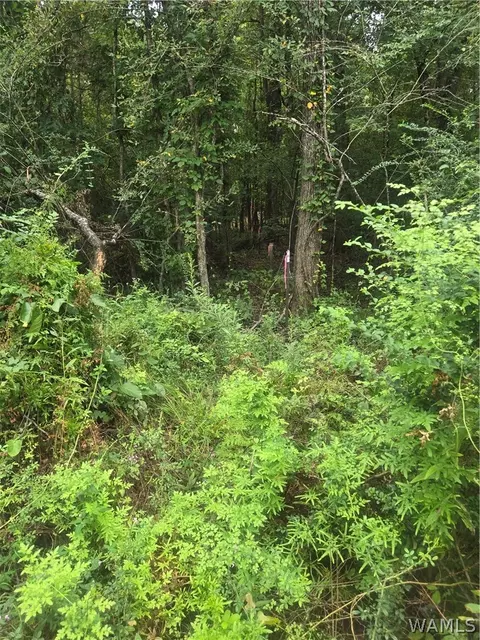 153 Chestnut Ave, Other, AL 36763
