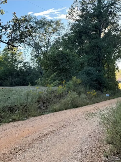618 Grover Pate Rd, Gordo, AL 35466