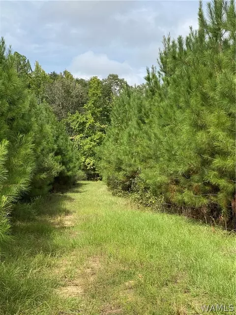0 Hwy 69, Gallion, AL 36742