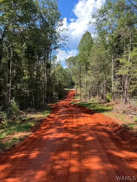 18580 Highway 25, Greensboro, AL 36744