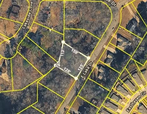lot85 E Lake Dr, Tuscaloosa, AL 35405