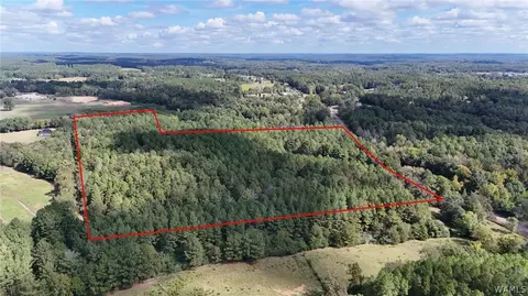 0 Gorgas Rd, Northport, AL 35475