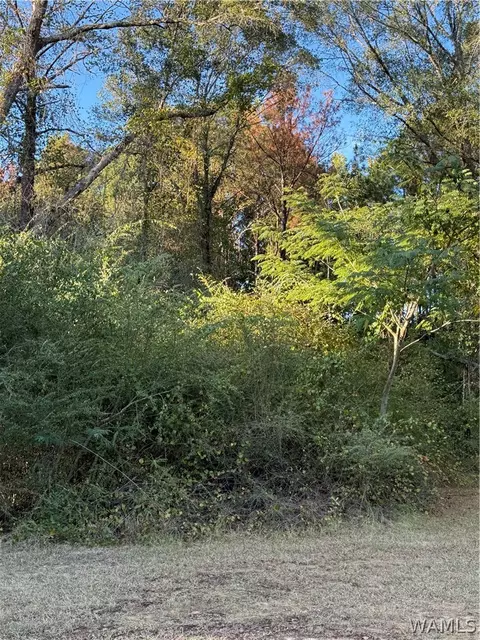 0 Highway 43 N, Northport, AL 35474