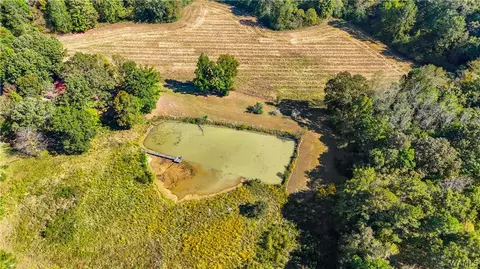 View/Area - 10 County Road 66, Eldridge, AL 35554 photo 2 of 2