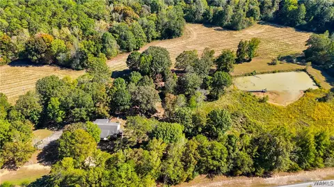 Other - 10 County Road 66, Eldridge, AL 35554 photo 7 of 11