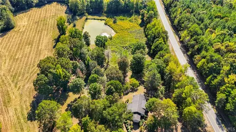 Other - 10 County Road 66, Eldridge, AL 35554 photo 11 of 11