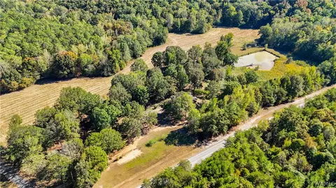 Other - 10 County Road 66, Eldridge, AL 35554 photo 8 of 11