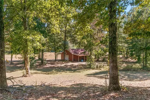 Exterior - 10 County Road 66, Eldridge, AL 35554 photo 10 of 10
