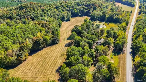 Other - 10 County Road 66, Eldridge, AL 35554 photo 1 of 11