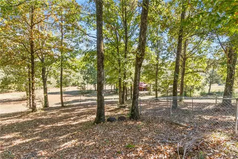 Exterior - 10 County Road 66, Eldridge, AL 35554 photo 8 of 10