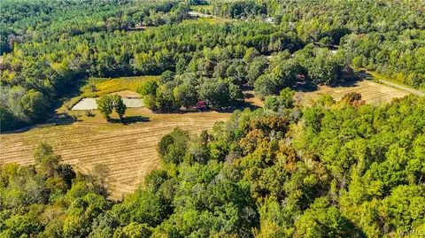 Other - 10 County Road 66, Eldridge, AL 35554 photo 10 of 11