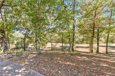Exterior - 10 County Road 66, Eldridge, AL 35554 photo 7 of 10