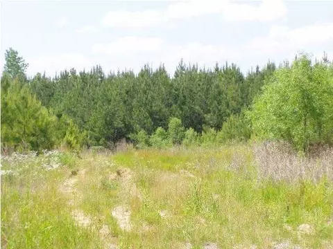 15832 Wire Rd, Coaling, AL 35453 photo 1