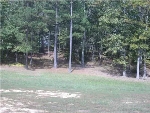 324 Mitchell Rd, Vernon, AL 35592 photo 15
