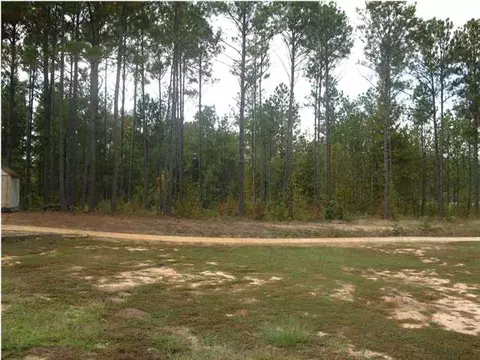324 Mitchell Rd, Vernon, AL 35592 photo 9