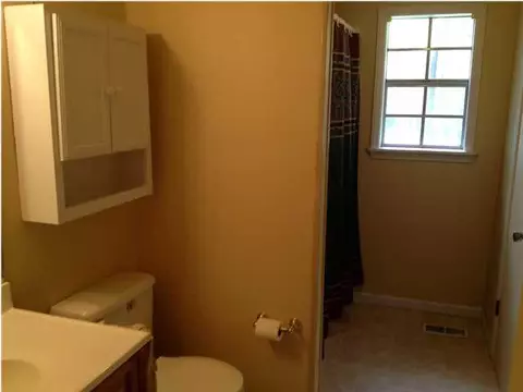 10903 E Manor Dr, Cottondale, AL 35453 photo 6