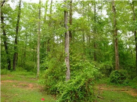 12482 Timberlane Rd, Ralph, AL 35480 photo 7