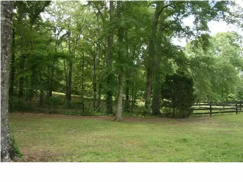 20235 Calhoun Rd, Mc Calla, AL 35111 photo 22