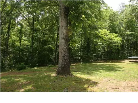 20235 Calhoun Rd, Mc Calla, AL 35111 photo 13