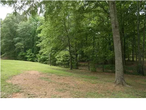 20235 Calhoun Rd, Mc Calla, AL 35111 photo 23