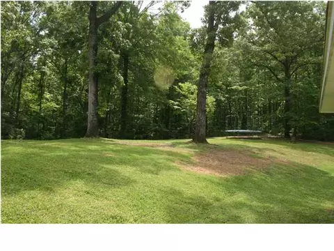 20235 Calhoun Rd, Mc Calla, AL 35111 photo 11