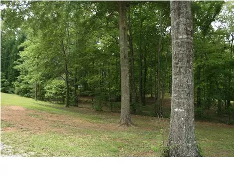 20235 Calhoun Rd, Mc Calla, AL 35111 photo 21