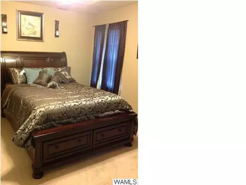 18558 Meadow Run Dr, Vance, AL 35490 photo 12