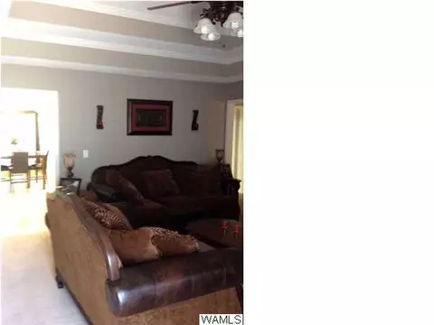18558 Meadow Run Dr, Vance, AL 35490 photo 9
