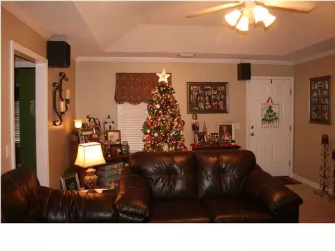 10588 Randall Dr, Vance, AL 35490 photo 12