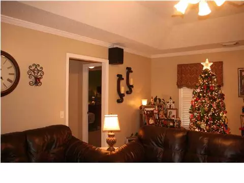 10588 Randall Dr, Vance, AL 35490 photo 13