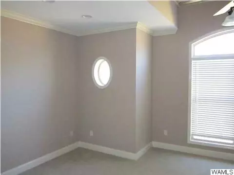 18549 Wiregrass Dr, Vance, AL 35490 photo 21