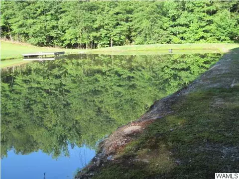 15098 Romulus Rd, Coker, AL 35452 photo 29