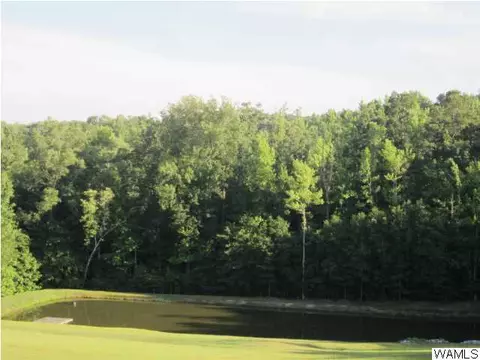 15098 Romulus Rd, Coker, AL 35452 photo 30