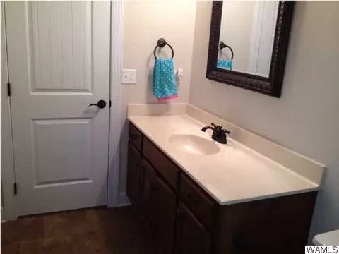 10642 Austin Loop, Vance, AL 35490 photo 14