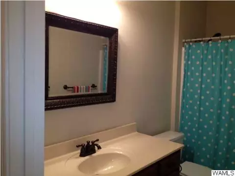 10642 Austin Loop, Vance, AL 35490 photo 15