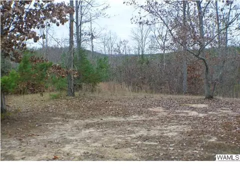 2715 Madison Rd, Berry, AL 35546 photo 5