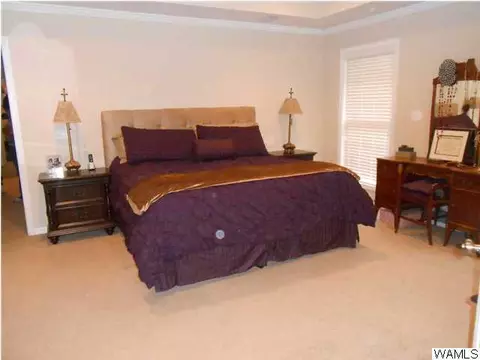 12437 Timber Heights Rd, Ralph, AL 35480 photo 20