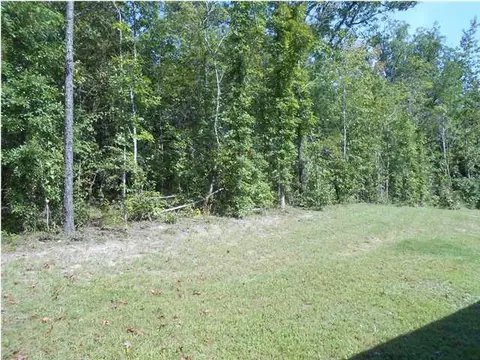 12437 Timber Heights Rd, Ralph, AL 35480 photo 10
