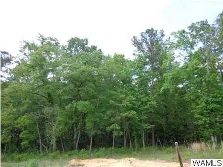16417 Chase Cir, Ralph, AL 35480 photo 14