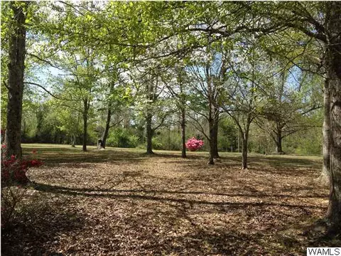18982 Union Rd, Vance, AL 35490 photo 3