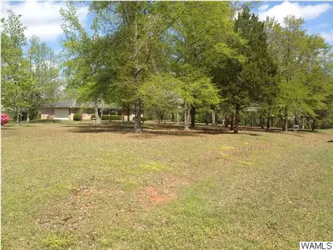 18982 Union Rd, Vance, AL 35490 photo 2