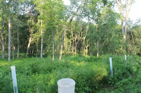 52 Solon Rd, Solon, IA 52333 photo 9