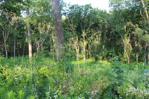 52 Solon Rd, Solon, IA 52333 photo 5