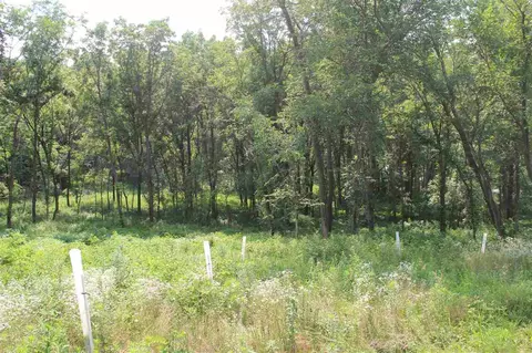 52 Solon Rd, Solon, IA 52333 photo 14